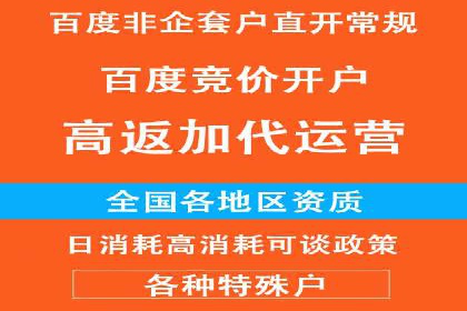 热门充值高返点平台案例分析